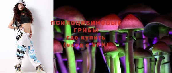 сатива Володарск