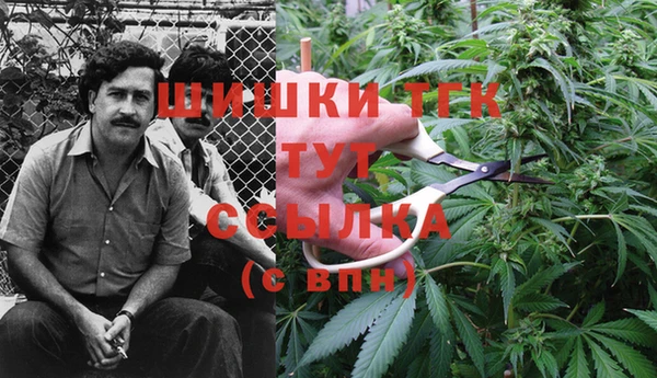 сатива Володарск