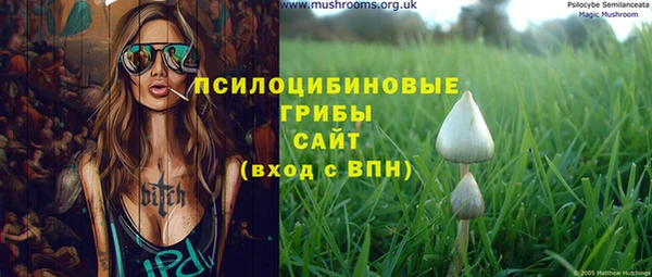 сатива Володарск