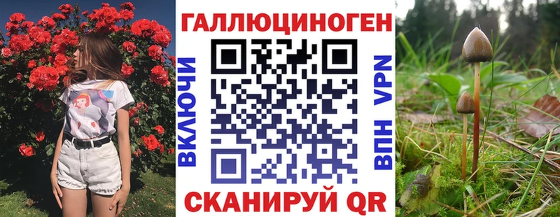 Псилоцибиновые грибы прущие грибы  Калач-на-Дону 